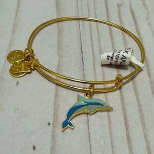 Alex and Ani Dolphin Bracelet